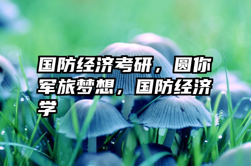 国防经济考研，圆你军旅梦想，国防经济学