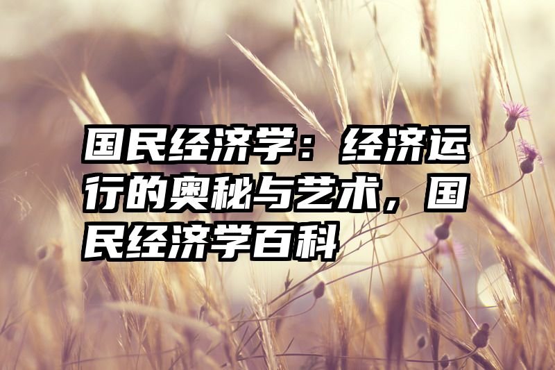 国民经济学：经济运行的奥秘与艺术，国民经济学百科