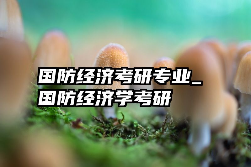 国防经济考研专业_国防经济学考研