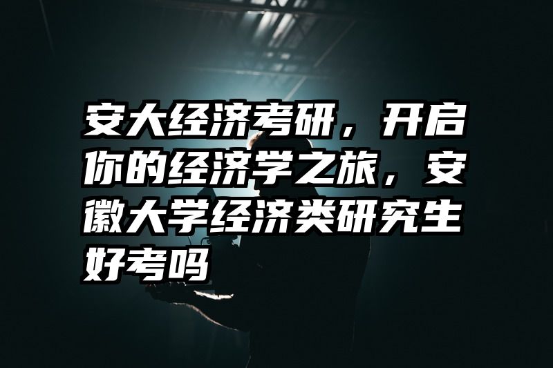 安大经济考研，开启你的经济学之旅，安徽大学经济类研究生好考吗