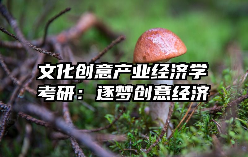 文化创意产业经济学考研：逐梦创意经济