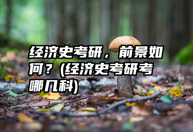 经济史考研，前景如何？(经济史考研考哪几科)