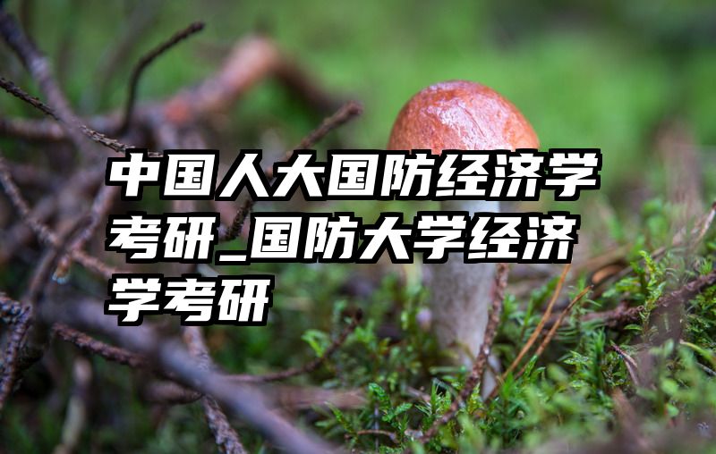 中国人大国防经济学考研_国防大学经济学考研