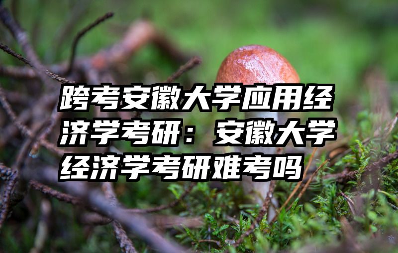 跨考安徽大学应用经济学考研：安徽大学经济学考研难考吗