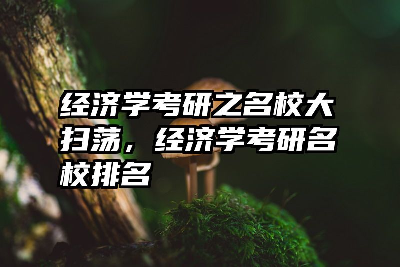 经济学考研之名校大扫荡，经济学考研名校排名