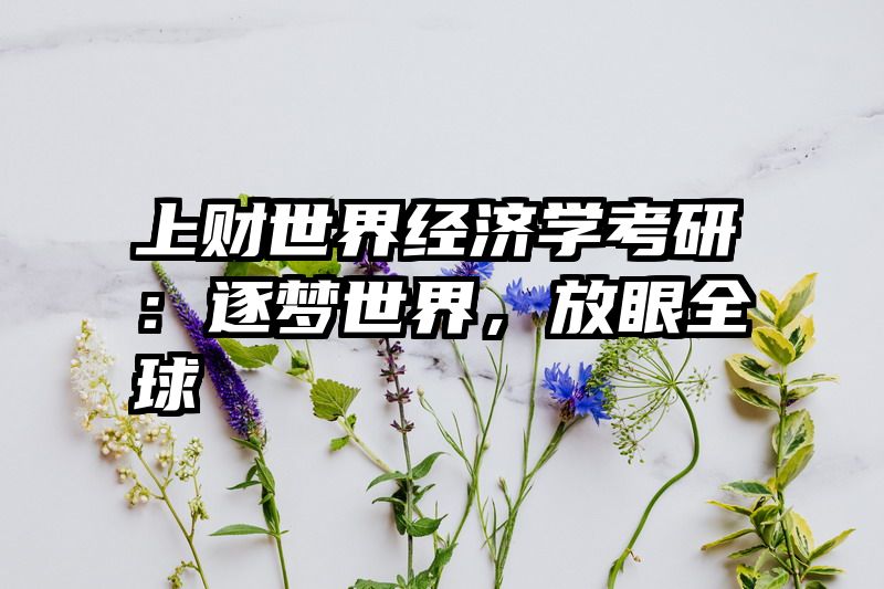 上财世界经济学考研：逐梦世界，放眼全球