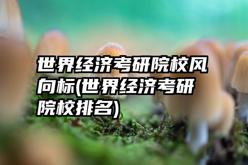 世界经济考研院校风向标(世界经济考研院校排名)