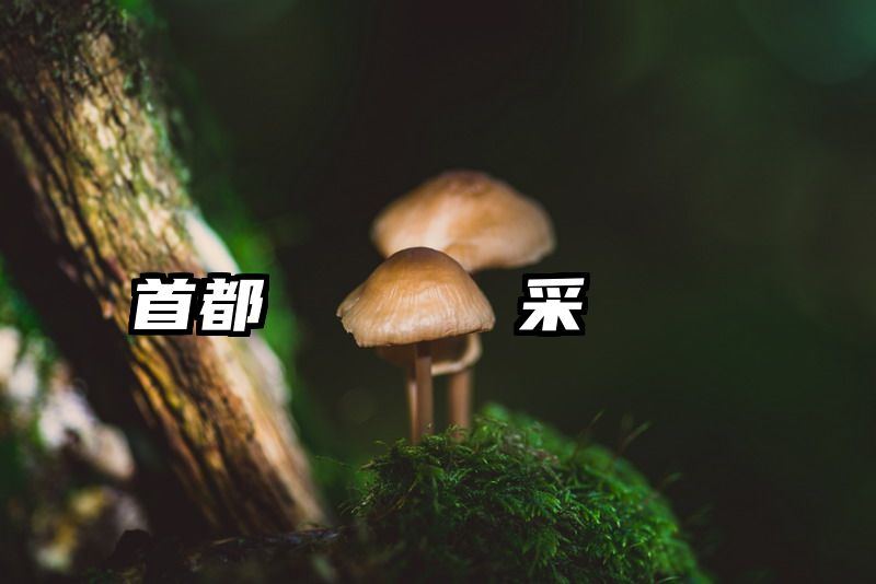 首都経貿資評導師風采
