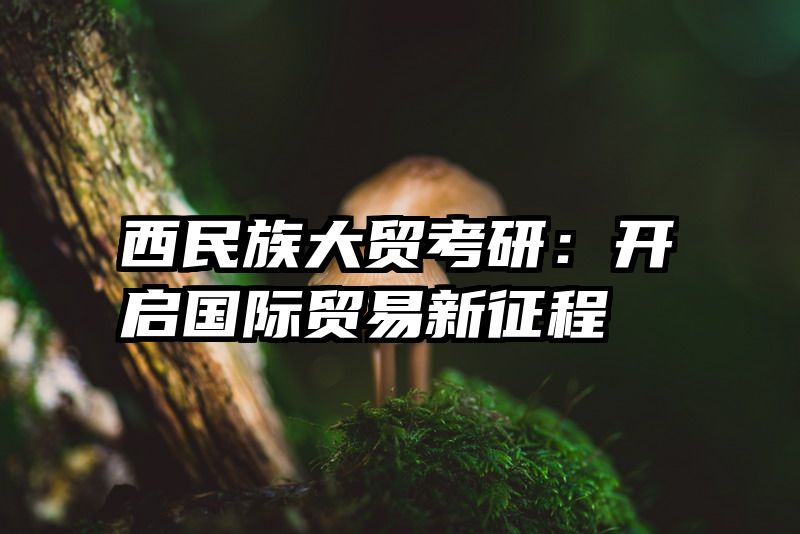 西民族大贸考研：开启国际贸易新征程