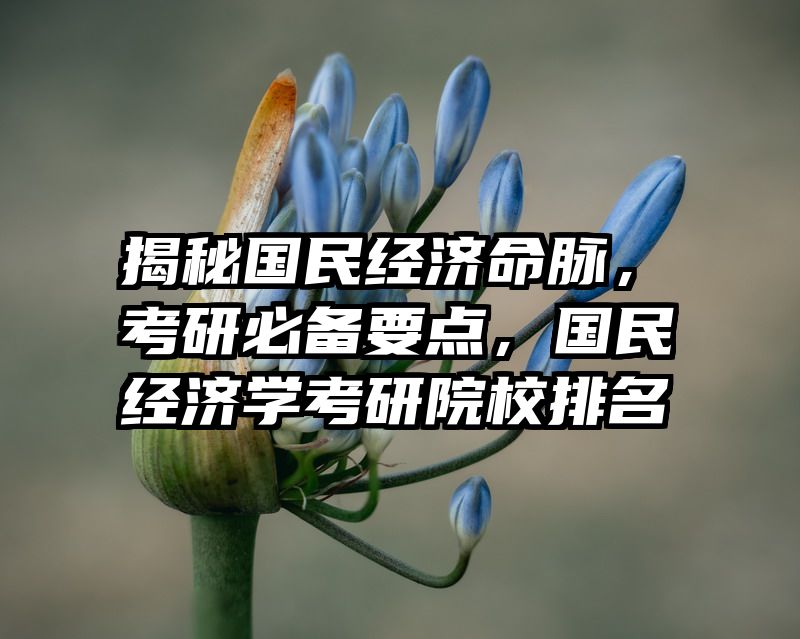 揭秘国民经济命脉，考研必备要点，国民经济学考研院校排名