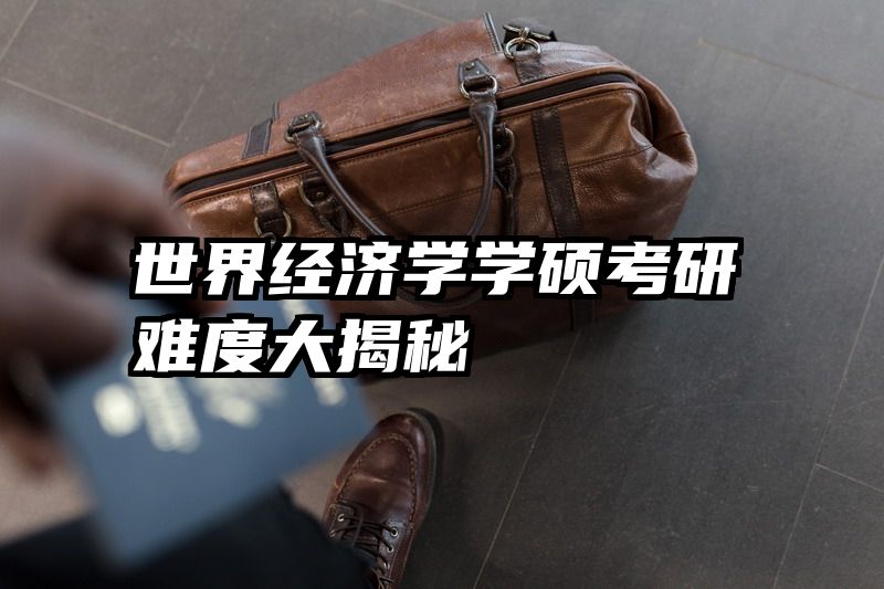世界经济学学硕考研难度大揭秘