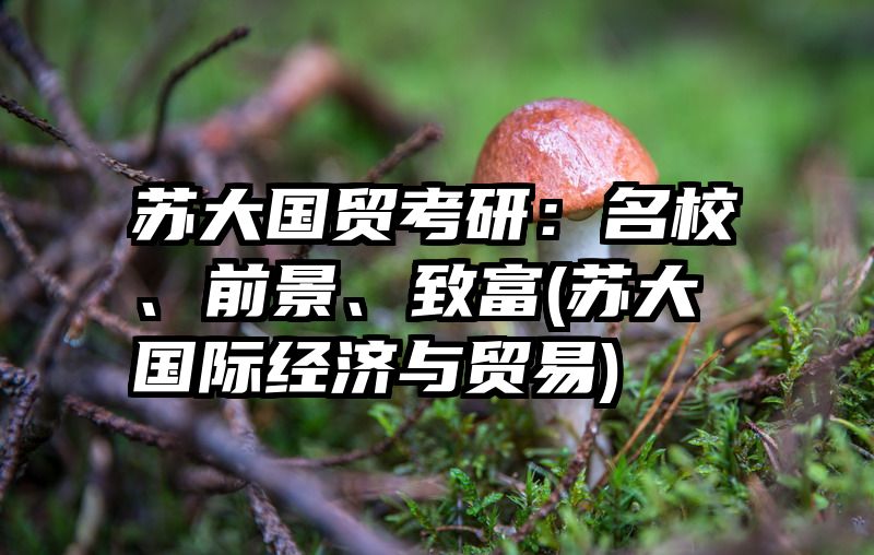 苏大国贸考研：名校、前景、致富(苏大国际经济与贸易)