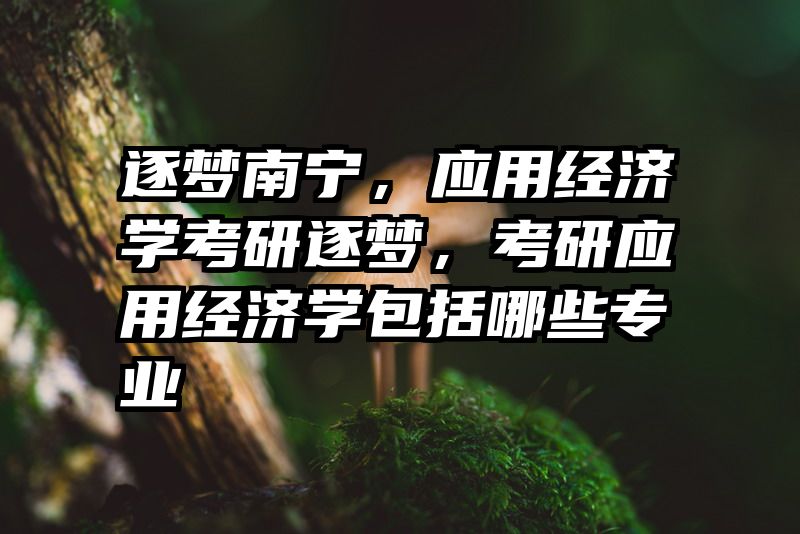逐梦南宁，应用经济学考研逐梦，考研应用经济学包括哪些专业