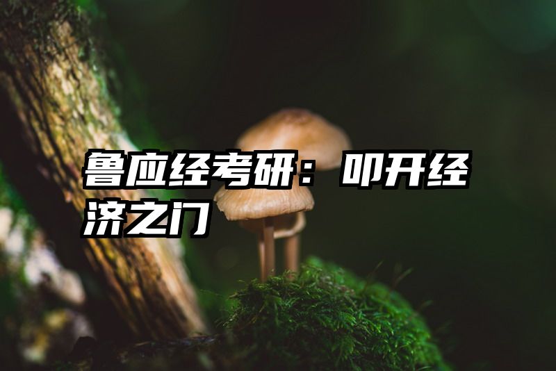 鲁应经考研：叩开经济之门