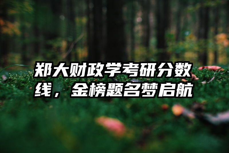 郑大财政学考研分数线，金榜题名梦启航