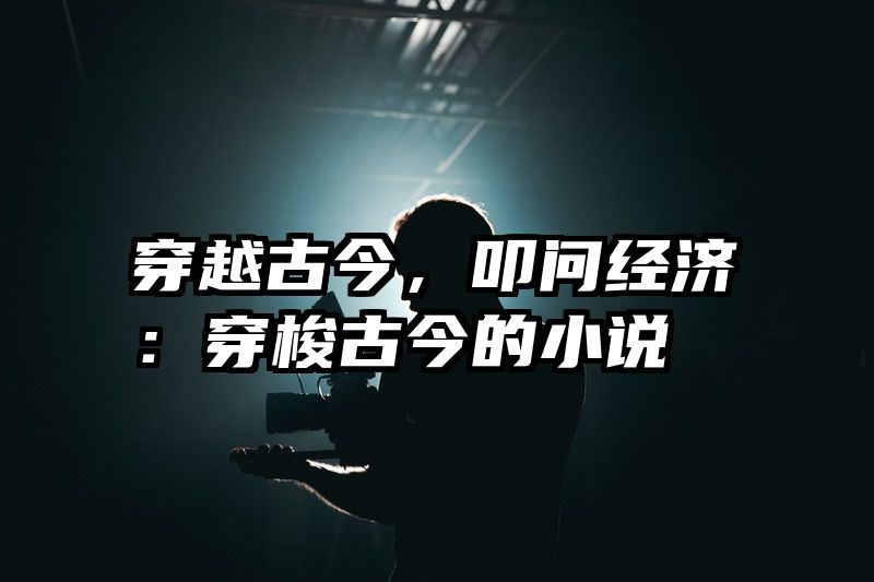 穿越古今，叩问经济：穿梭古今的小说