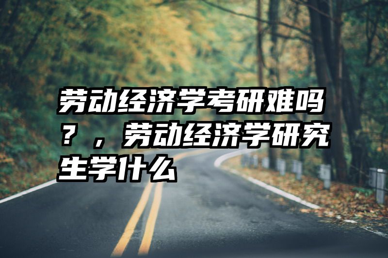 劳动经济学考研难吗？，劳动经济学研究生学什么