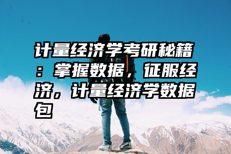 计量经济学考研秘籍：掌握数据，征服经济，计量经济学数据包