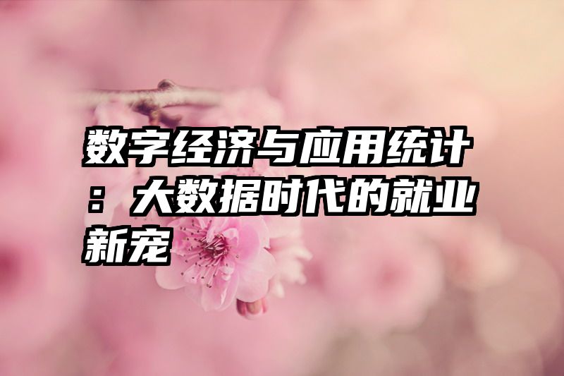 数字经济与应用统计：大数据时代的就业新宠