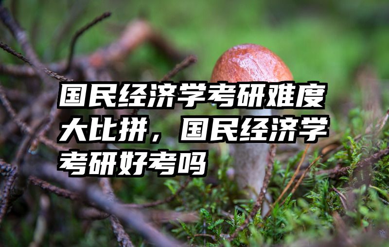 国民经济学考研难度大比拼，国民经济学考研好考吗
