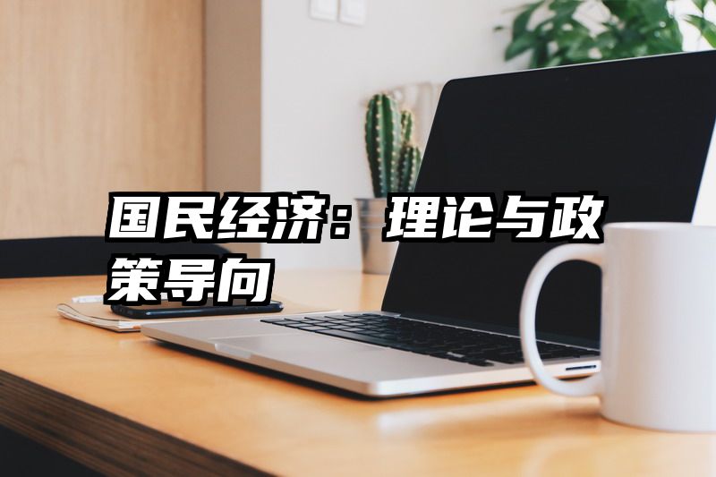 国民经济：理论与政策导向