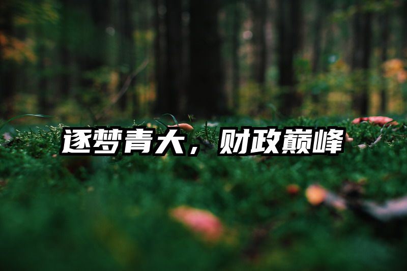 逐梦青大，财政巅峰