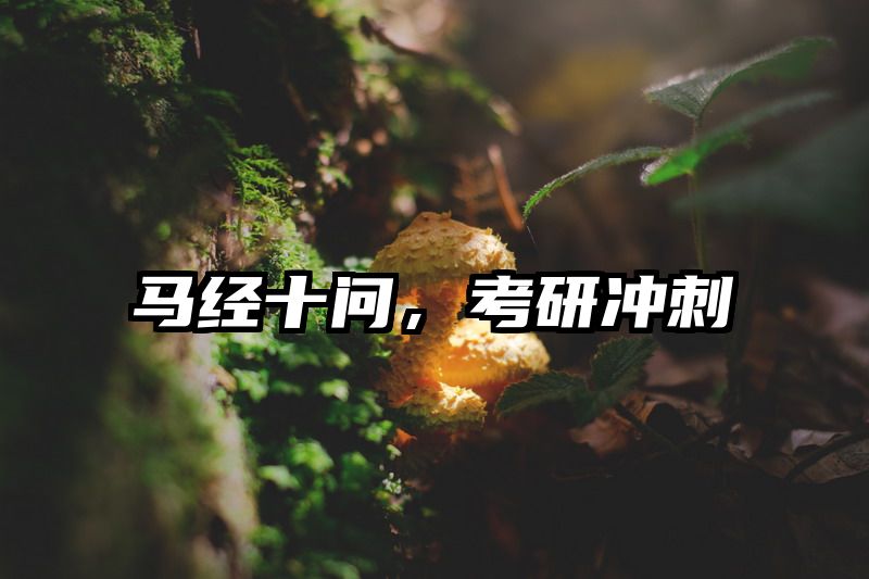 马经十问，考研冲刺
