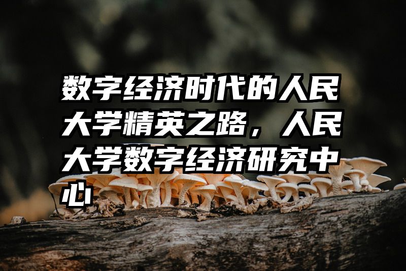 数字经济时代的人民大学精英之路，人民大学数字经济研究中心