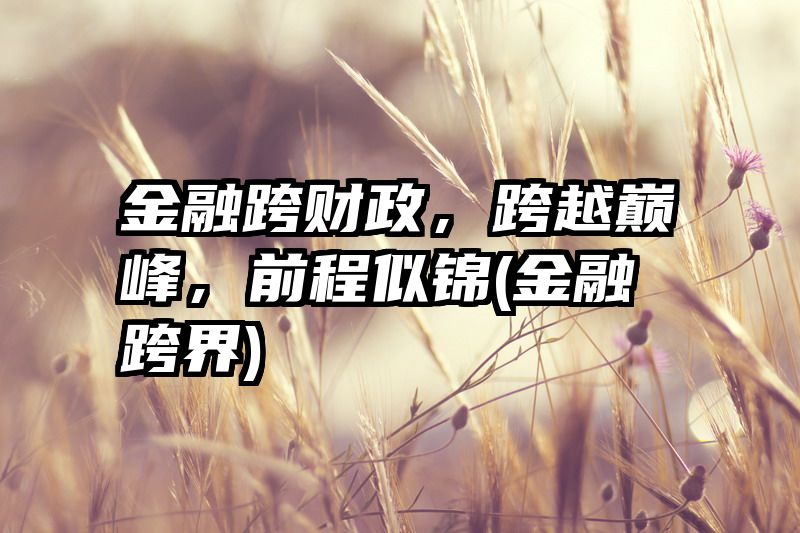 金融跨财政，跨越巅峰，前程似锦(金融跨界)