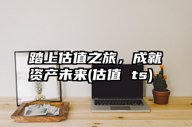 踏上估值之旅，成就资产未来(估值 ts)