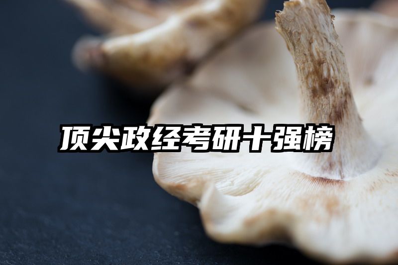 顶尖政经考研十强榜