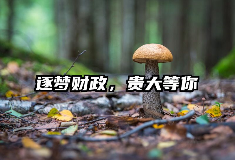 逐梦财政，贵大等你