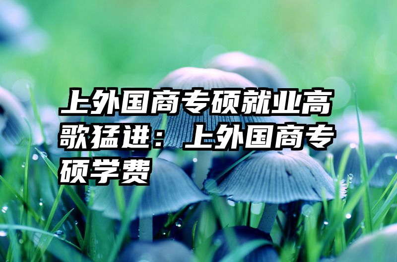 上外国商专硕就业高歌猛进：上外国商专硕学费