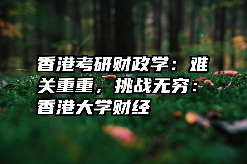 香港考研财政学：难关重重，挑战无穷：香港大学财经