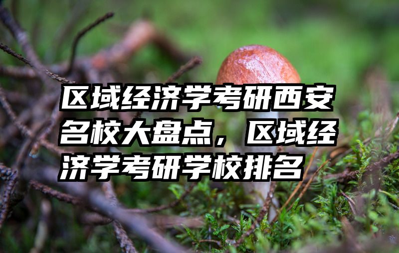区域经济学考研西安名校大盘点，区域经济学考研学校排名