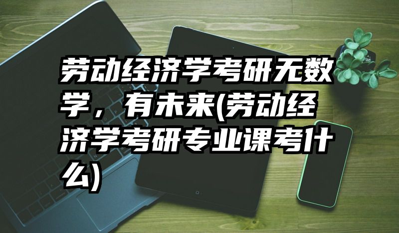 劳动经济学考研无数学，有未来(劳动经济学考研专业课考什么)