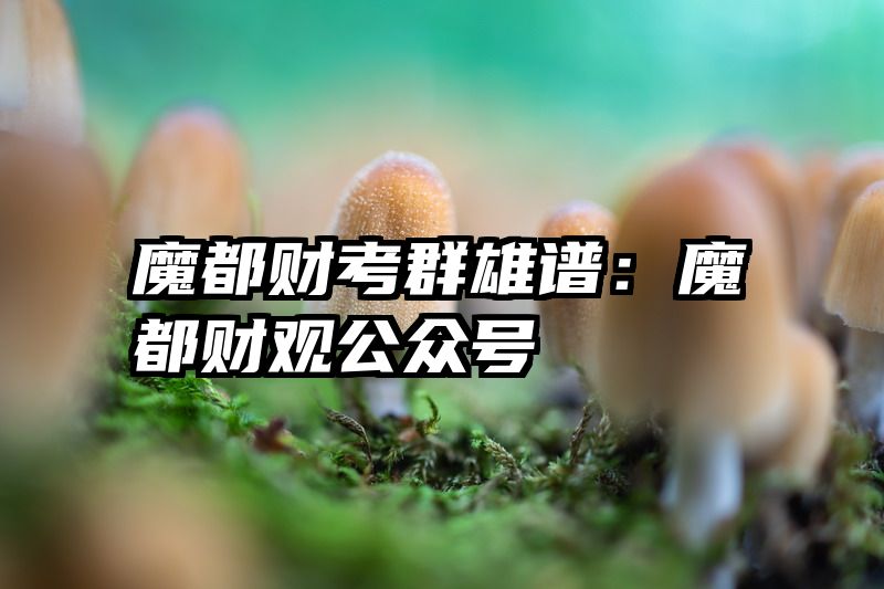 魔都财考群雄谱：魔都财观公众号