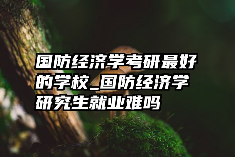 国防经济学考研最好的学校_国防经济学研究生就业难吗