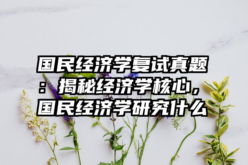 国民经济学复试真题：揭秘经济学核心，国民经济学研究什么