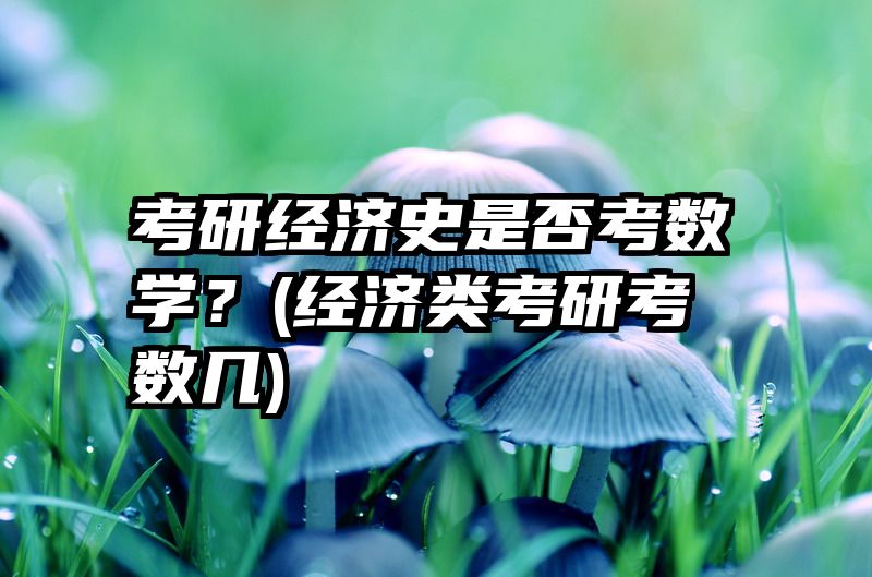 考研经济史是否考数学？(经济类考研考数几)