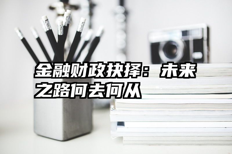 金融财政抉择：未来之路何去何从