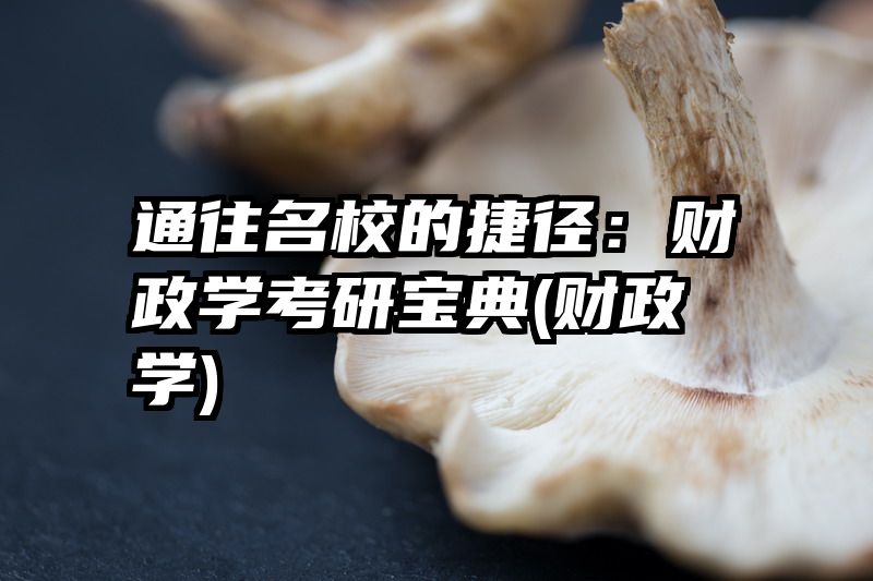 通往名校的捷径：财政学考研宝典(财政学)