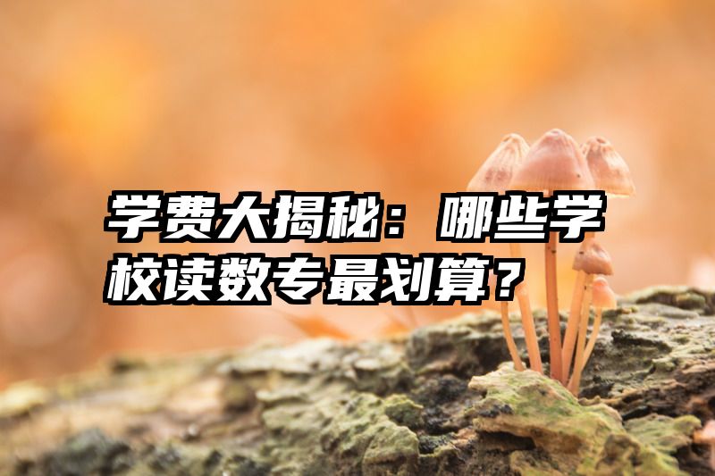 学费大揭秘：哪些学校读数专最划算？
