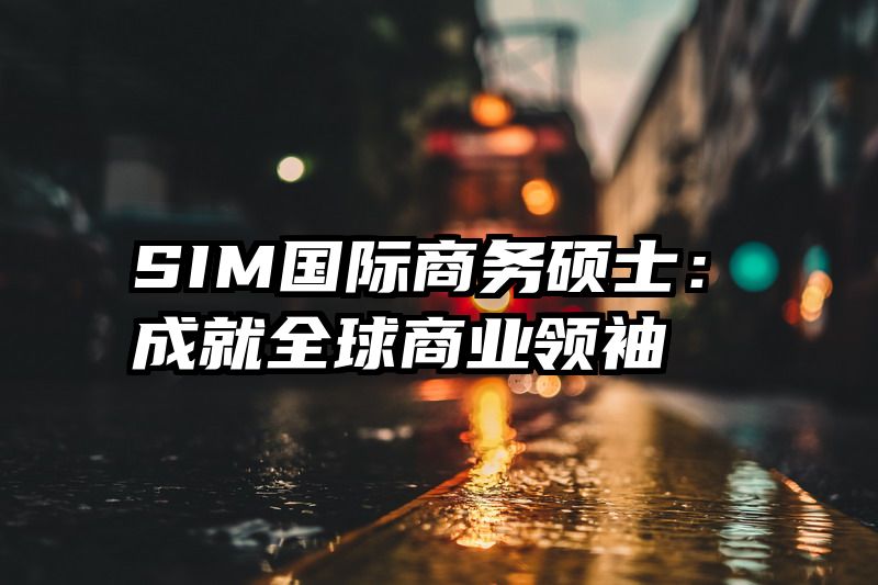SIM国际商务硕士：成就全球商业领袖