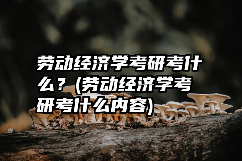 劳动经济学考研考什么？(劳动经济学考研考什么内容)