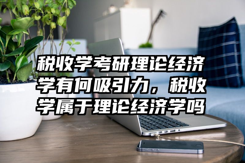 税收学考研理论经济学有何吸引力，税收学属于理论经济学吗