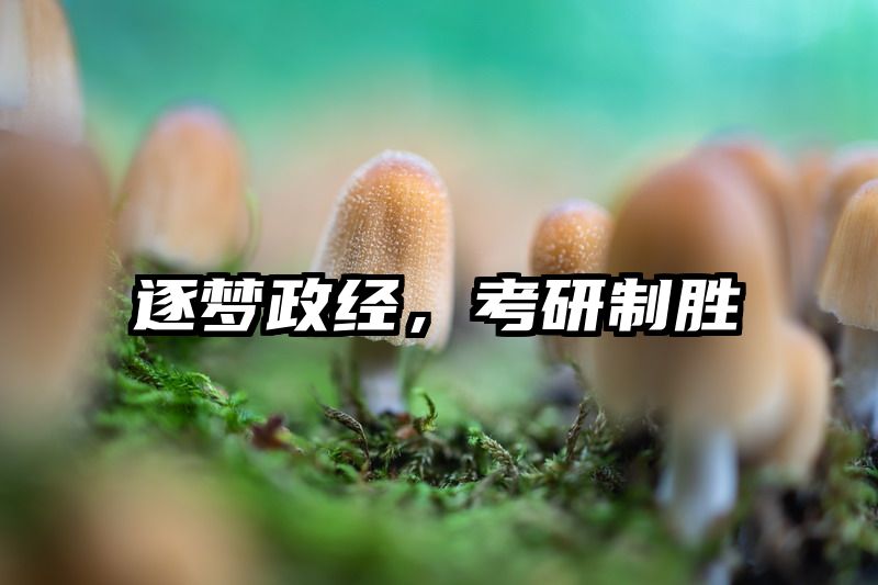 逐梦政经，考研制胜