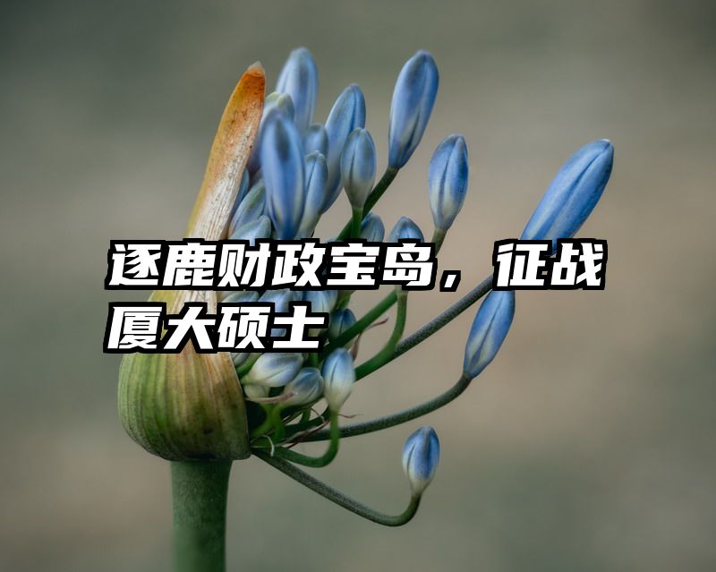 逐鹿财政宝岛，征战厦大硕士