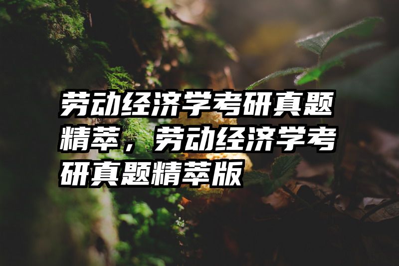 劳动经济学考研真题精萃，劳动经济学考研真题精萃版