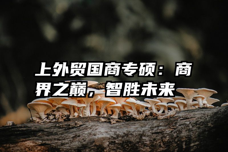 上外贸国商专硕：商界之巅，智胜未来